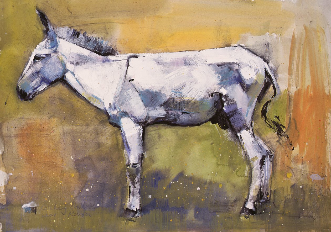 Donkey Stallion, Ronda, 1998 by Mark Adlington