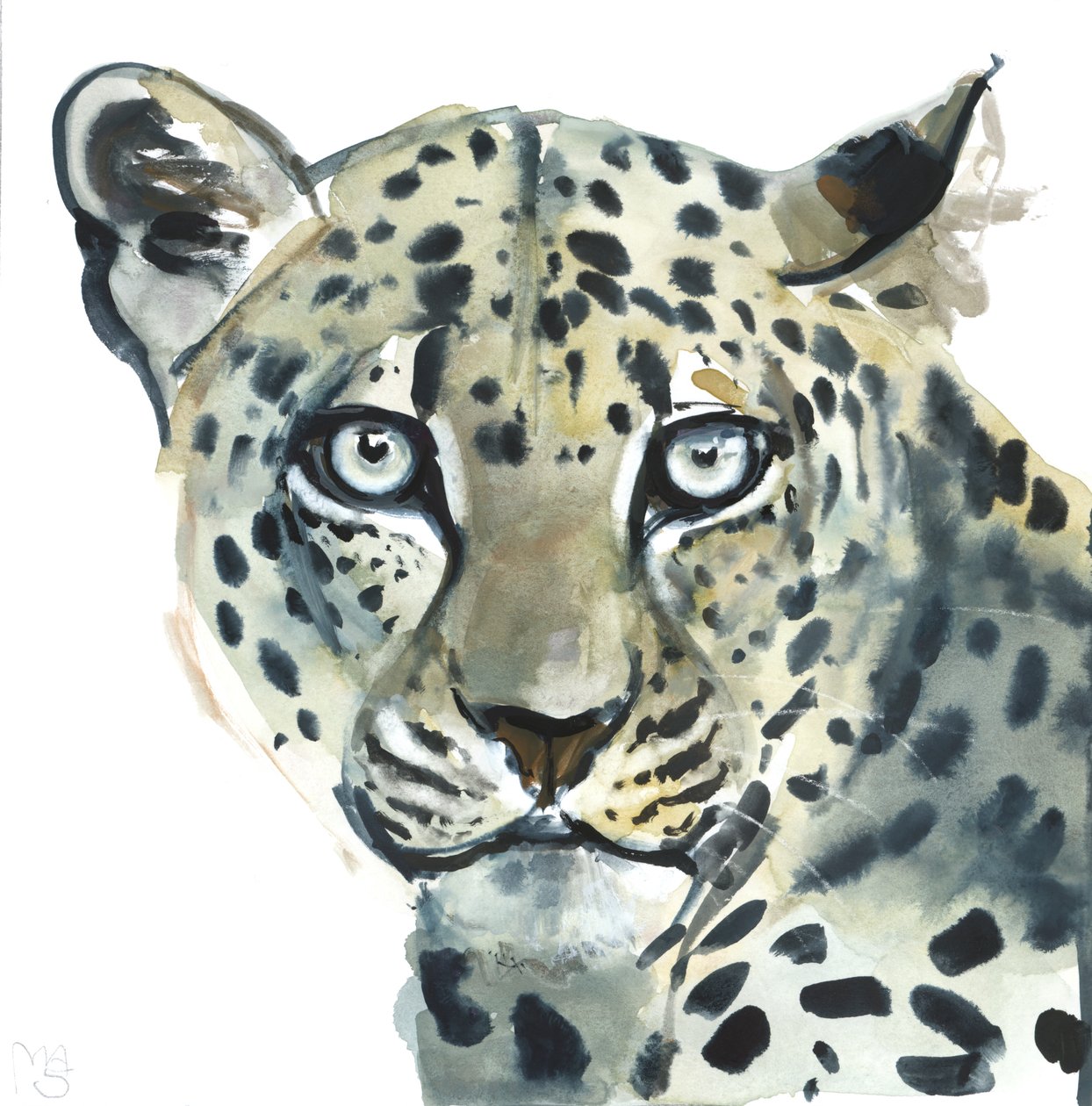 Leopard, 2015 by Mark Adlington
