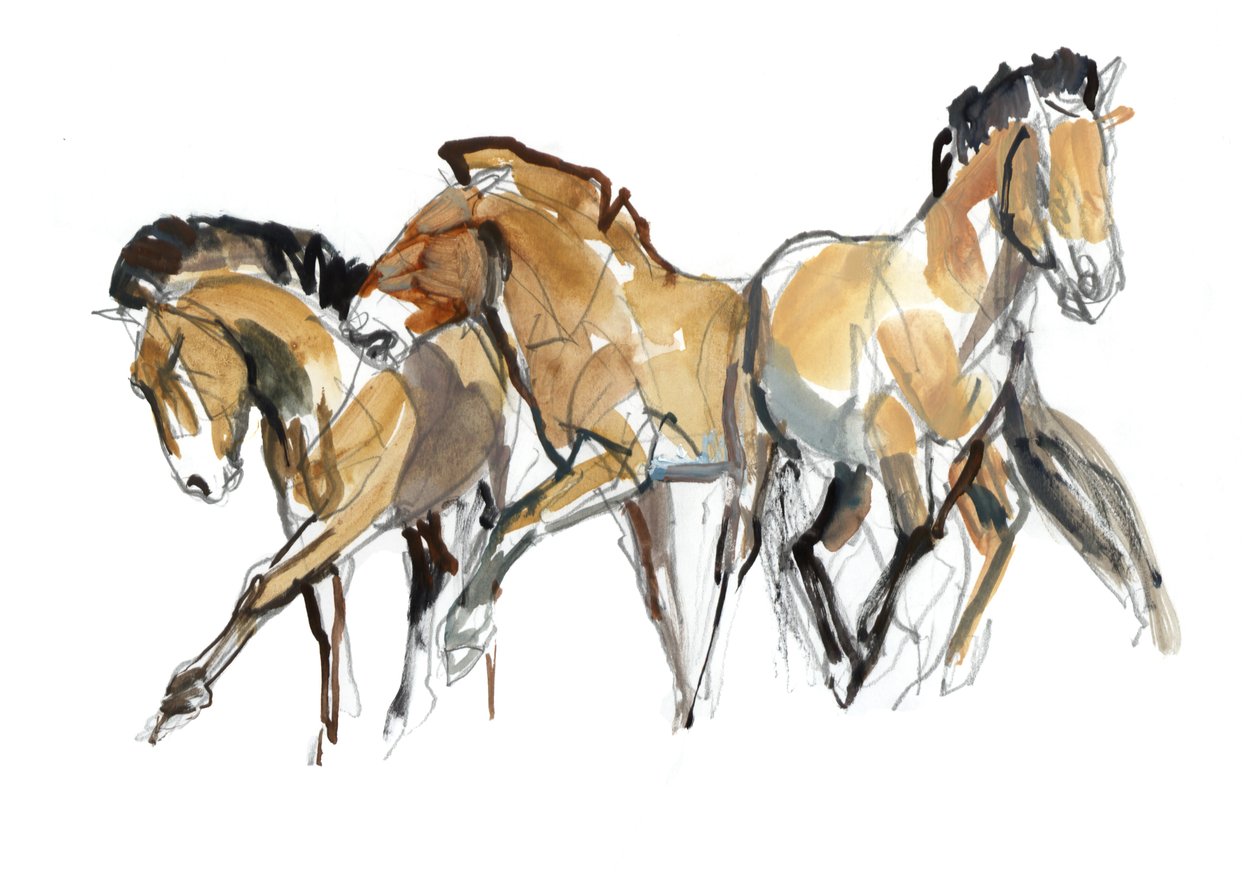 Mistral Three (Przewalski) by Mark Adlington