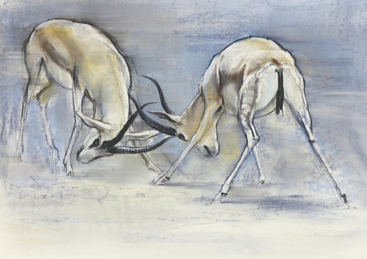 Sand Gazelles, 2009 by Mark Adlington