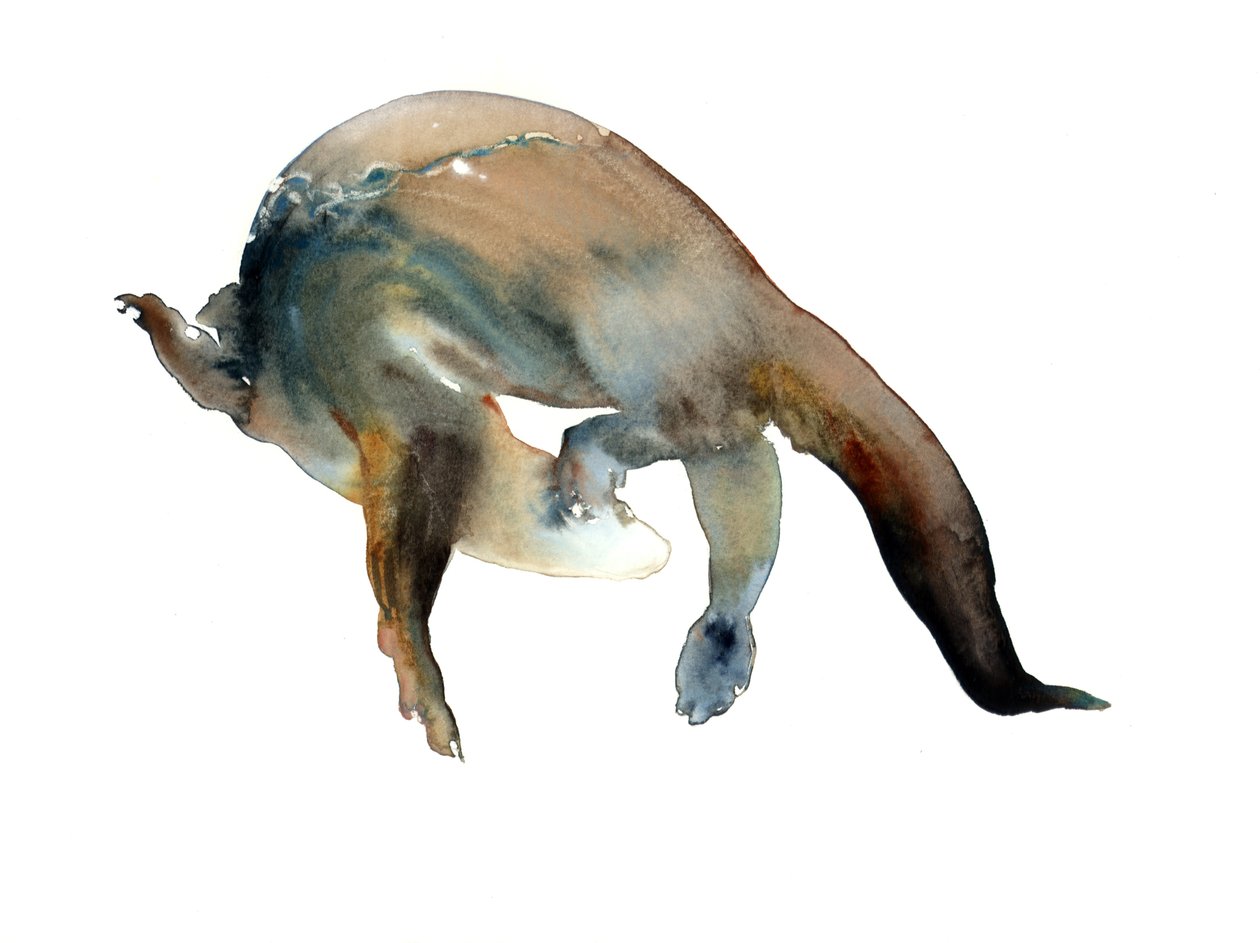 Unknown Title by Mark Adlington