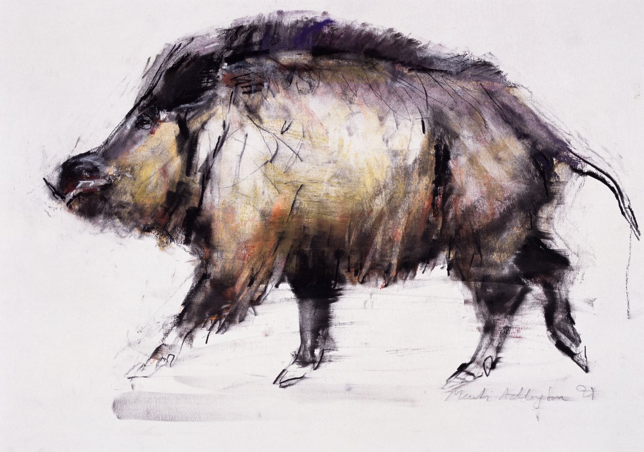 Wild Boar by Mark Adlington