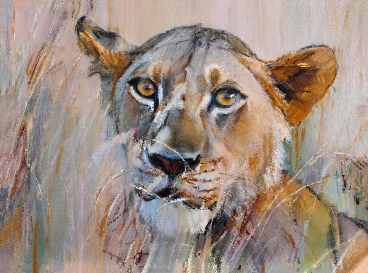 Young Lion in the Grass, 2020 by Mark Adlington
