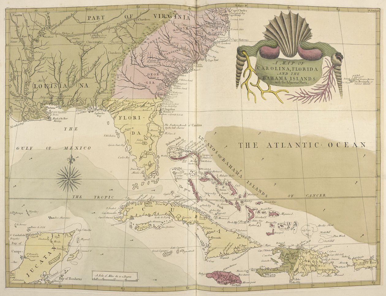 A Map of Carolina, Florida and the Bahama Islands by Mark Catesby