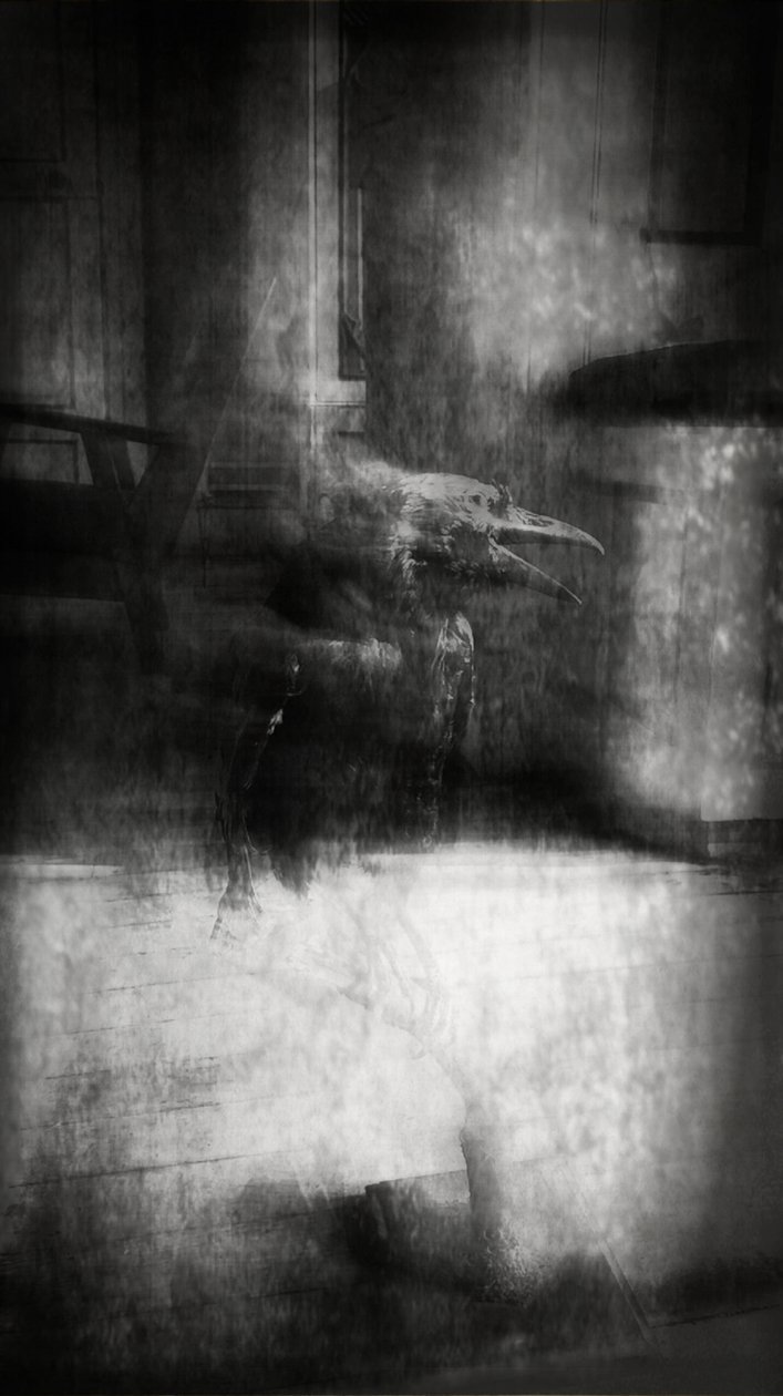 Beauty is a Witch Series Elvaston Castle - Crow by Mark Gordon