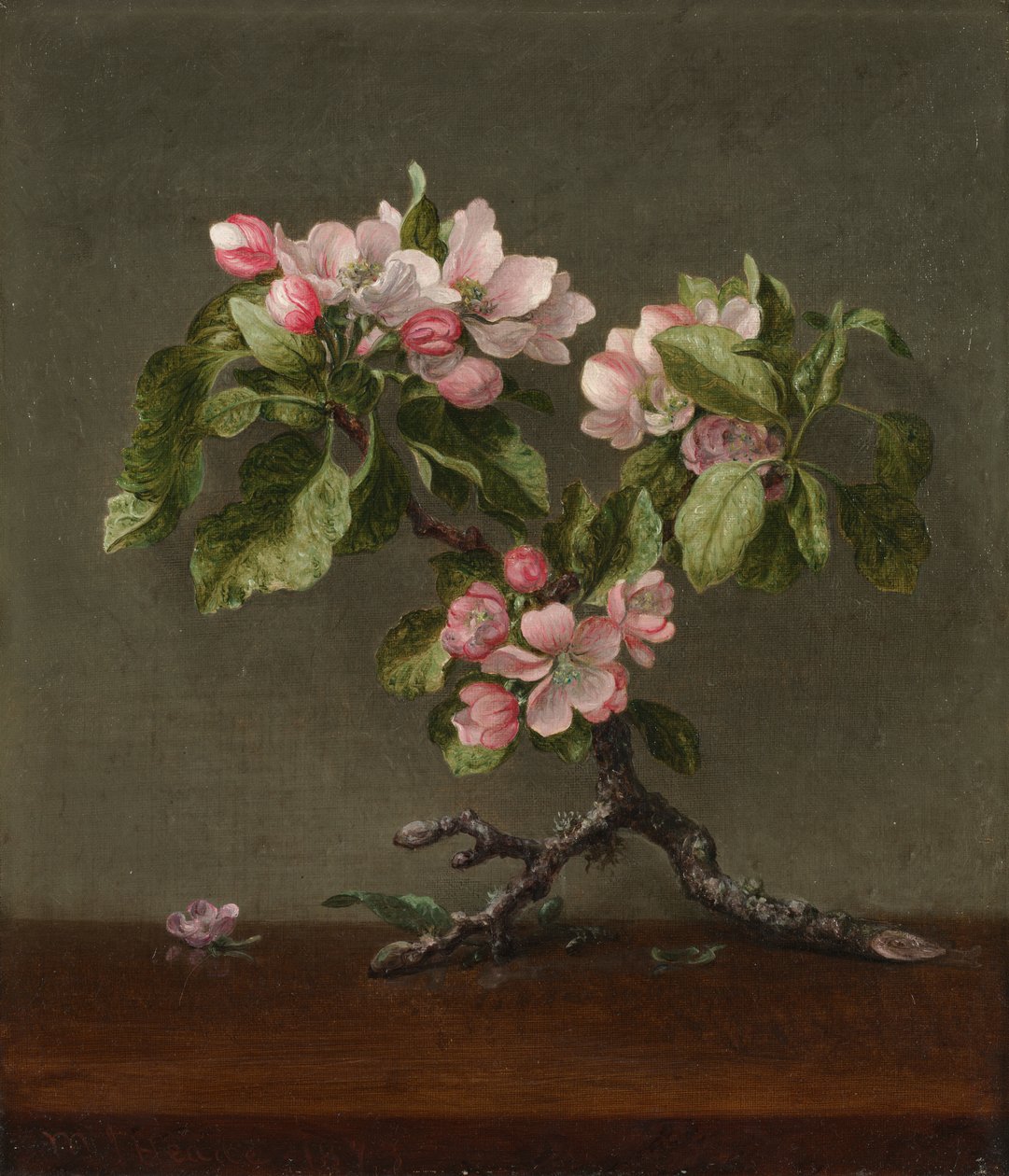 Apple Blossoms by Martin Johnson Heade