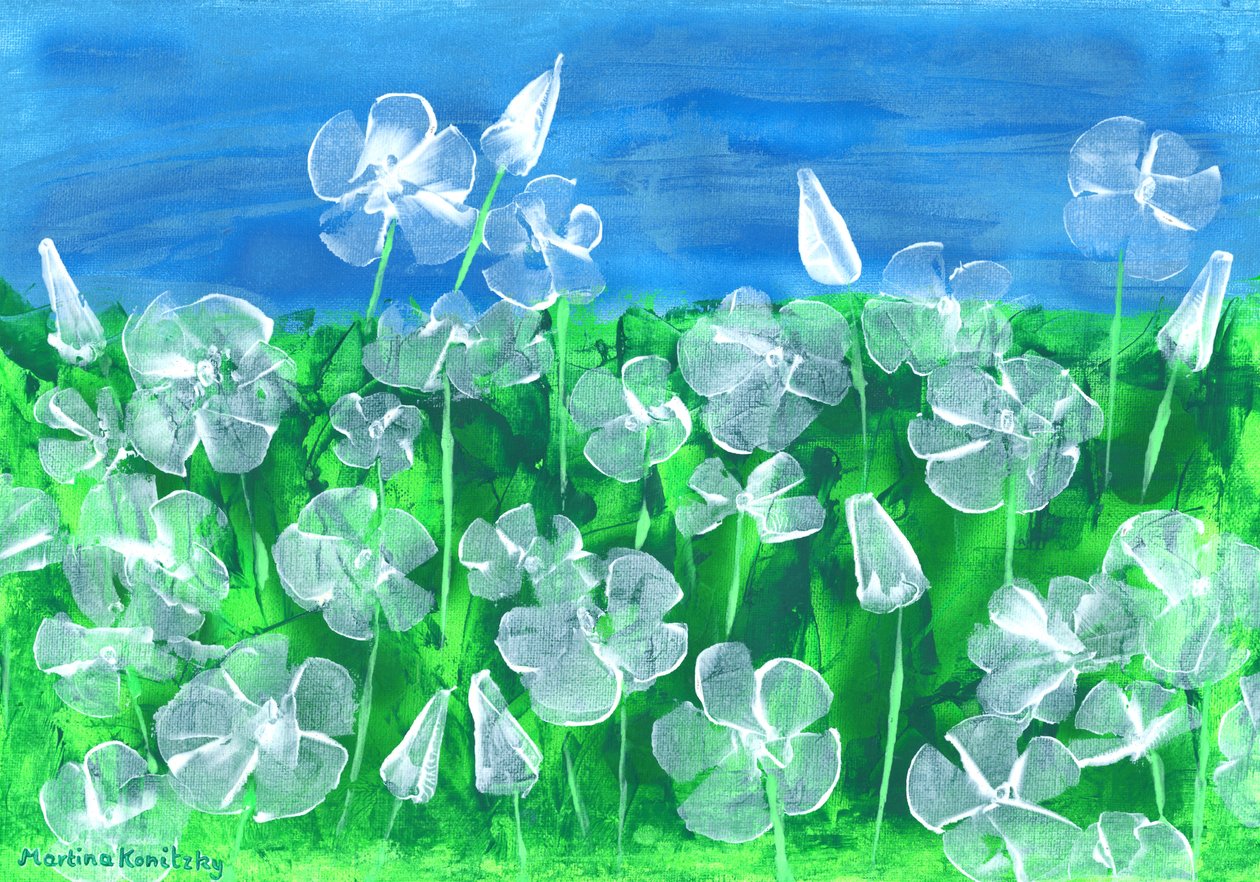 White Mallow by Martina Konitzky