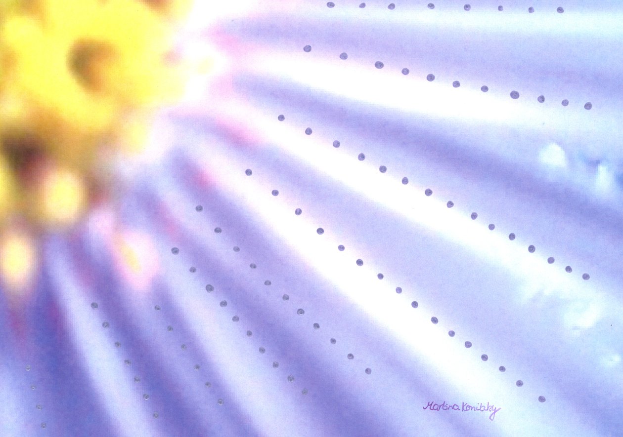 Blue Flower by Martina Konitzky