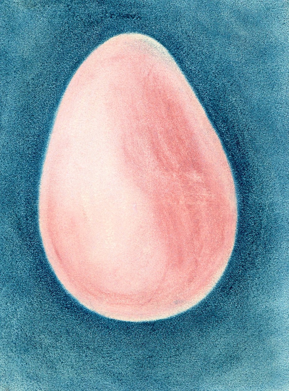 Pink Egg by Martina Konitzky