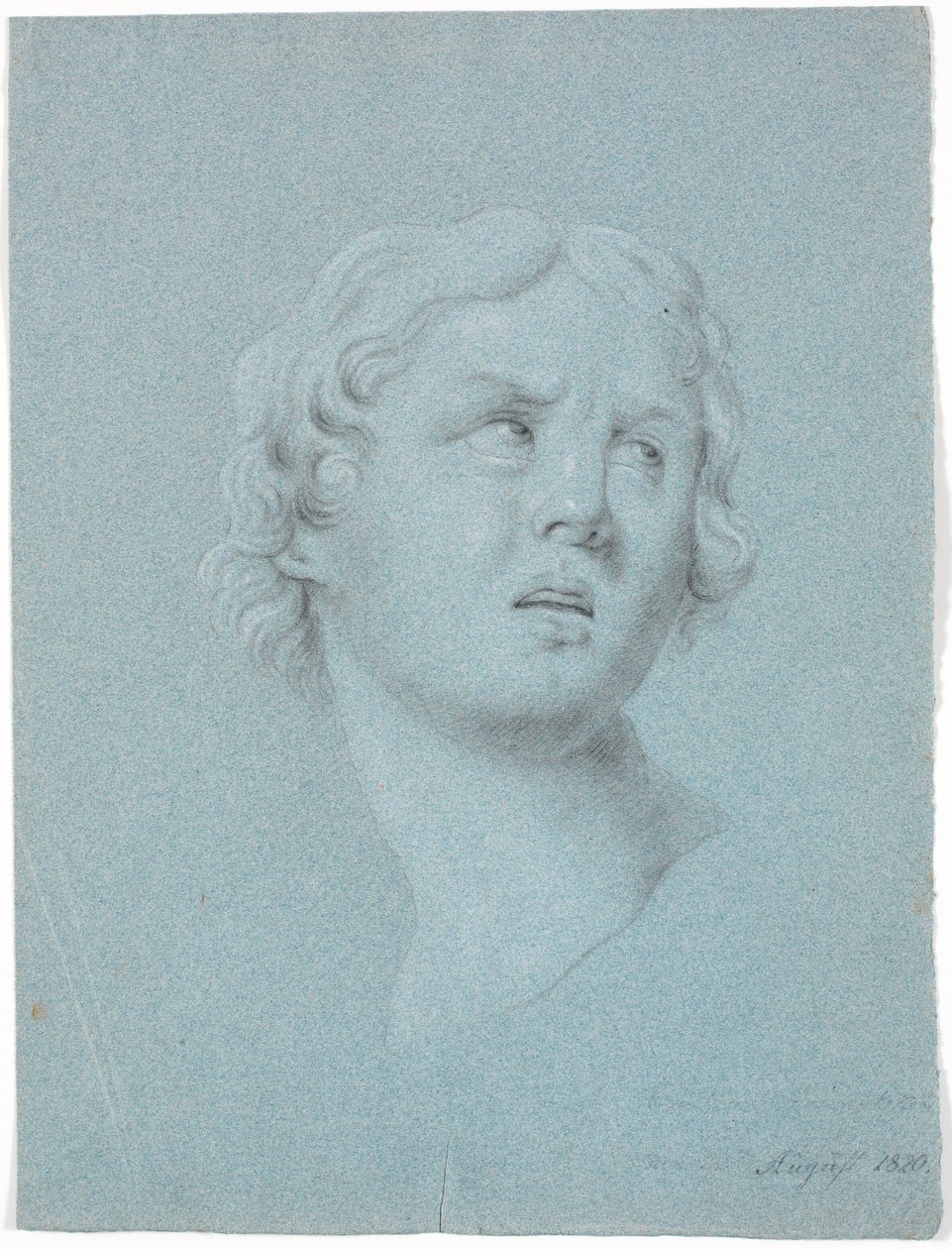 Study of a Woman