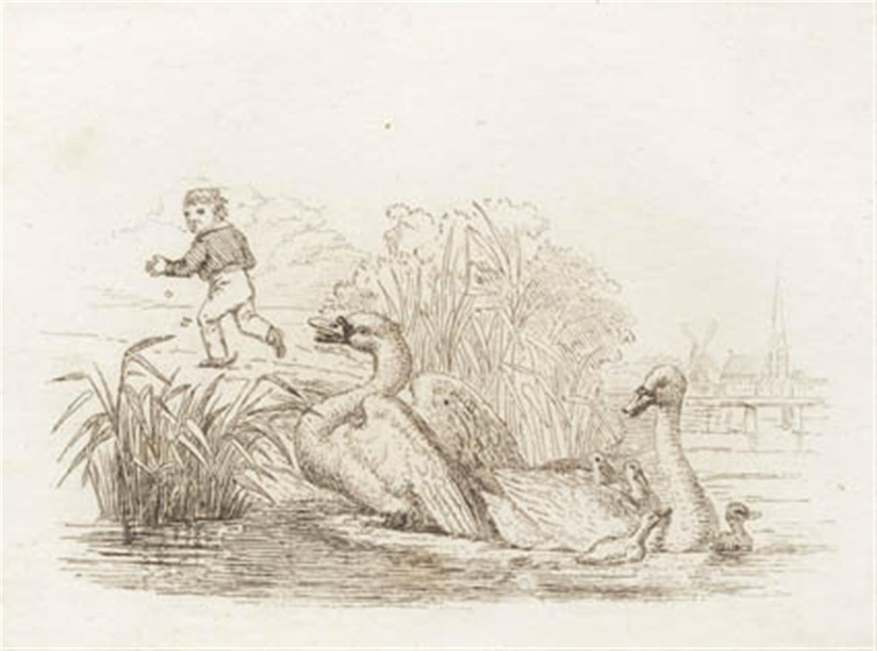 Illustration for 