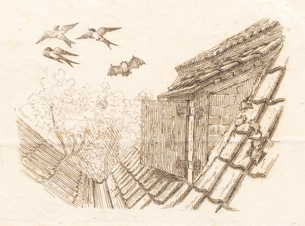 Illustration for "Fifty Fables for Children" by Hey by Martinus Rørbye