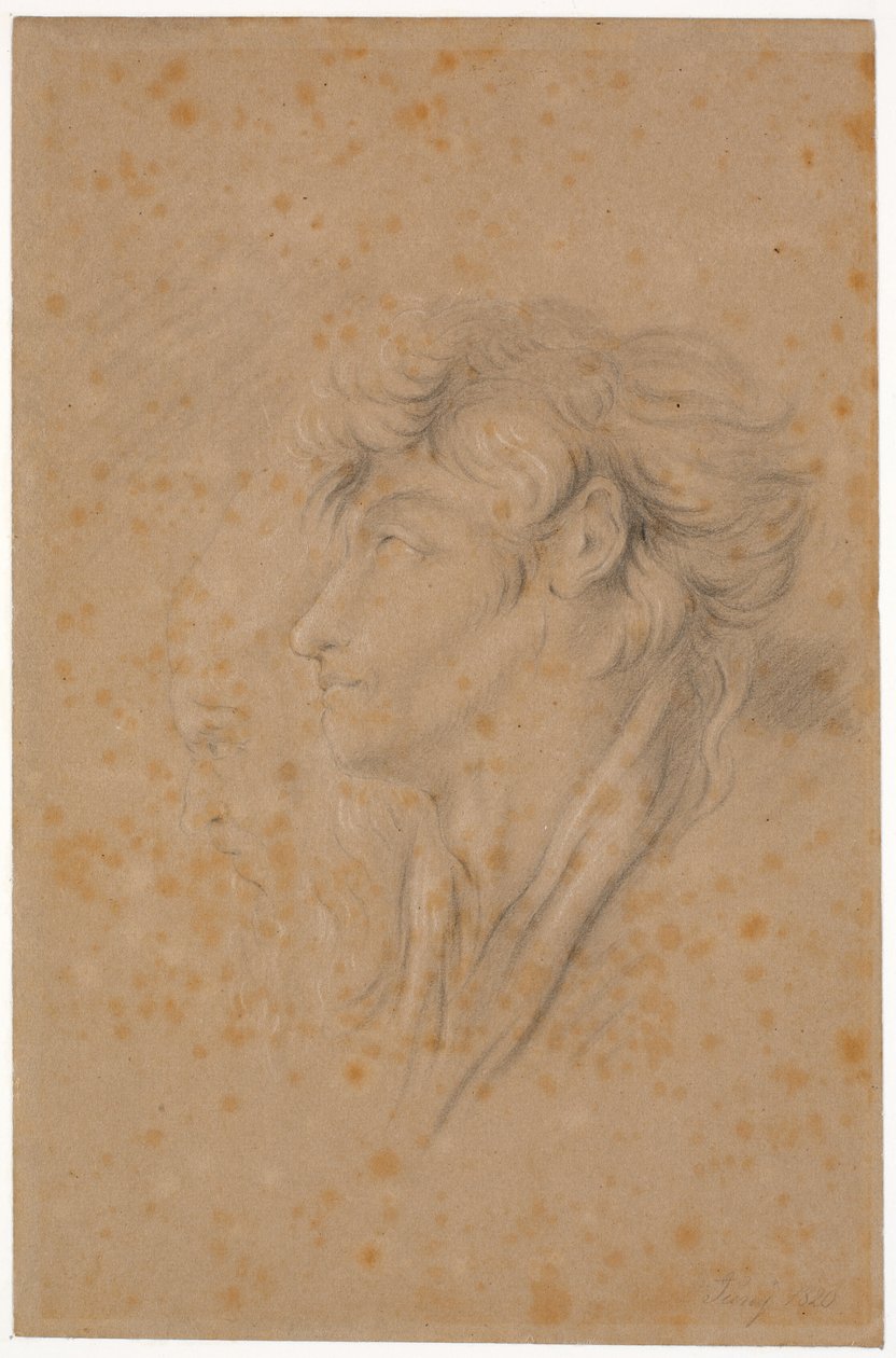 Study of a Youth and a Bearded Old Man