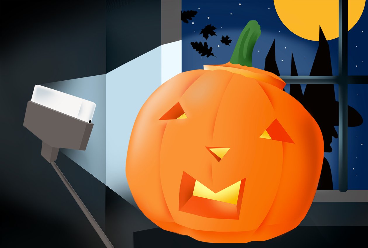 Halloween, 2017 by Mary Ann Smith
