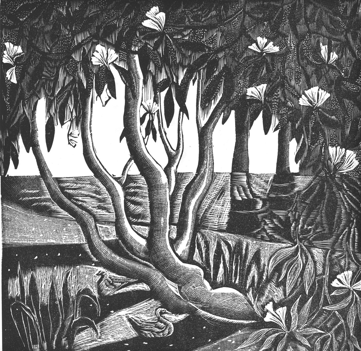 Rhododendrons, Holland Park, 2006 by Mary Kuper