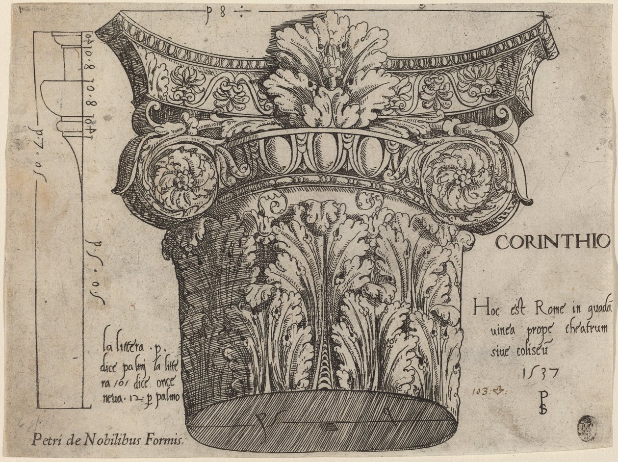 Capital from the Colosseum, Rome by Master PS