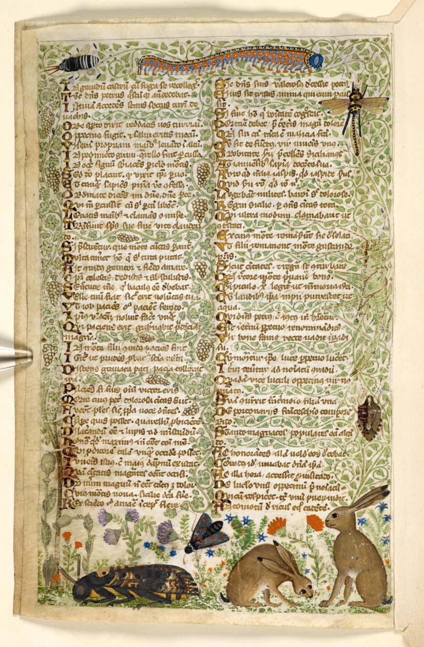 Rabbits and insects, including a caterpillar, dragonfly, and a moth, from a Treatise on the Virtues and Vices, and an anonymous prose history of Sicily (fragment) by Master of the Cocharelli Codex