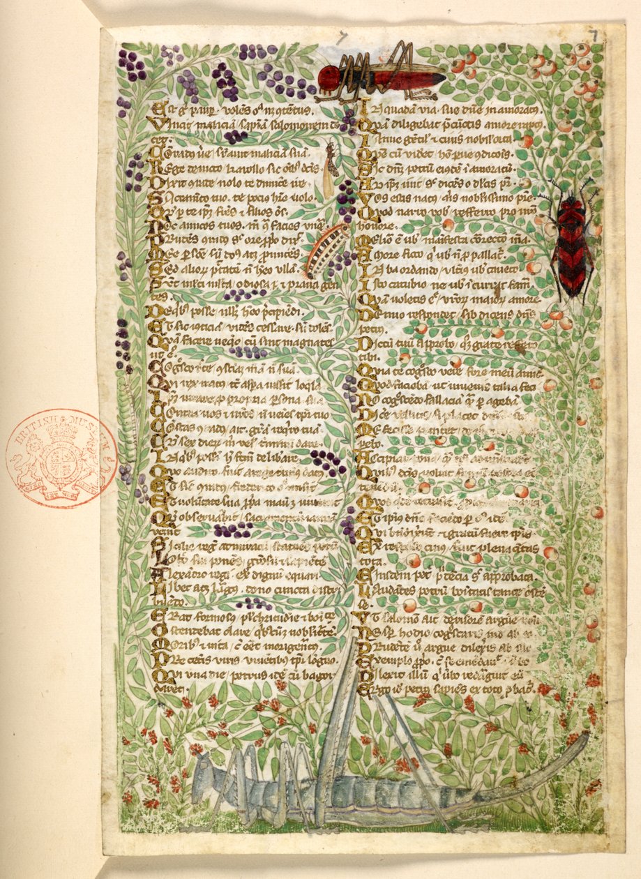 Flowers, Fruit and Insects, including a Grasshopper and a Locust, from 