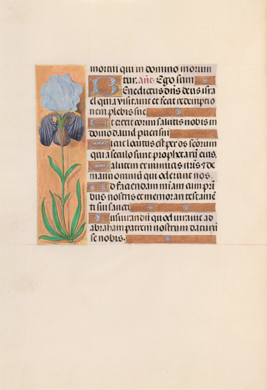 Hours of Queen Isabella the Catholic, Queen of Spain: Fol. 254v by Master of the First Prayerbook of Maximillian