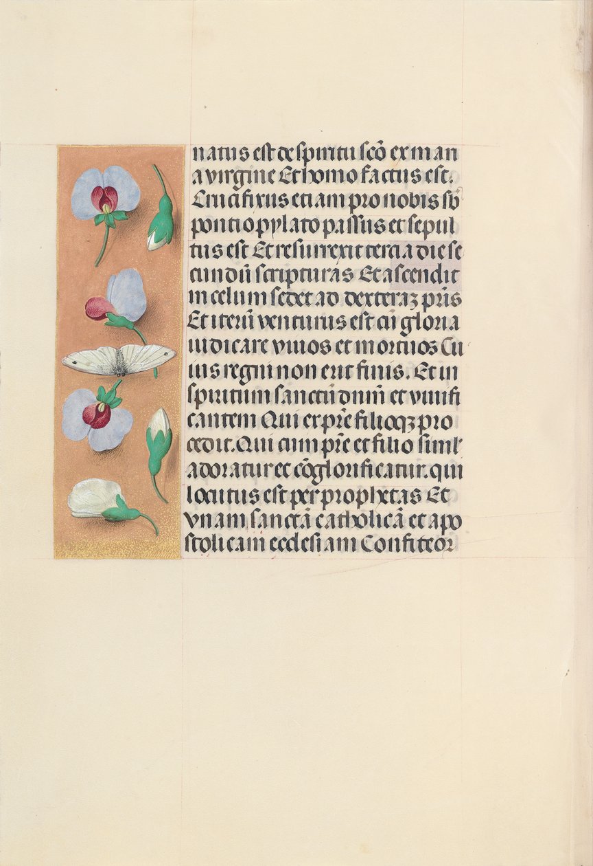 Hours of Queen Isabella the Catholic, Queen of Spain: Fol. 91v by Master of the First Prayerbook of Maximillian