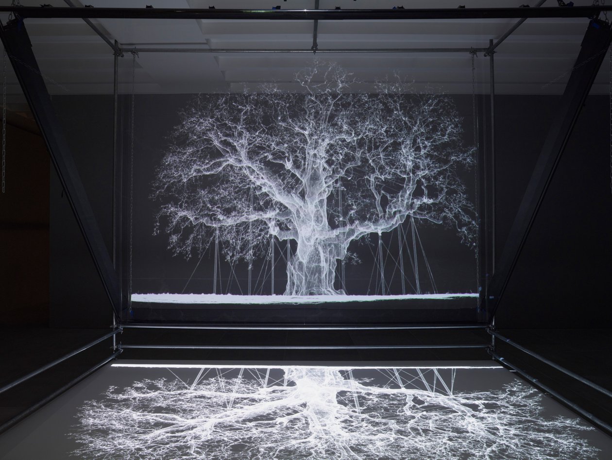 Albion, 2017 by Mat Collishaw