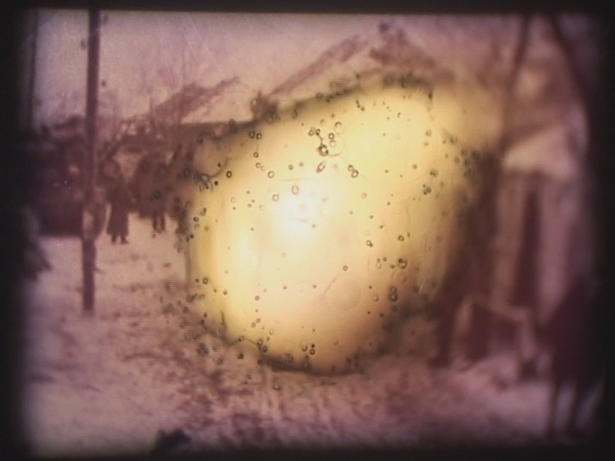 Barbarossa, 2002 by Mat Collishaw
