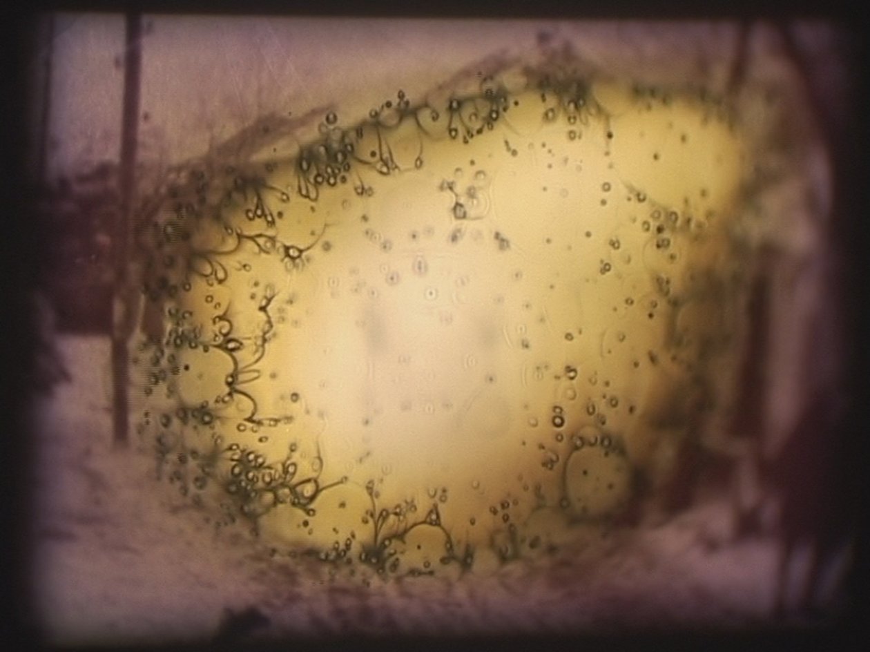 Barbarossa, 2002 by Mat Collishaw