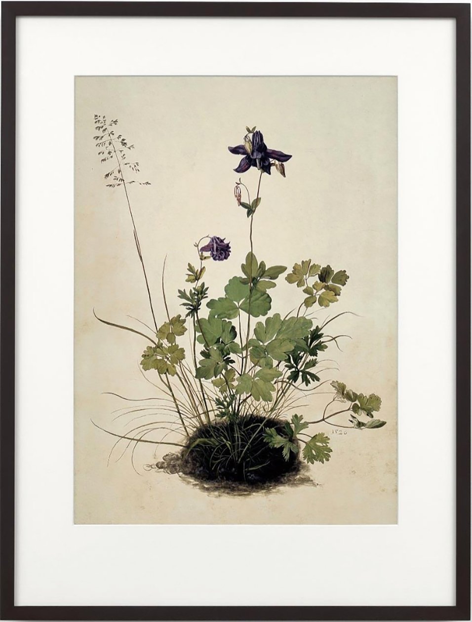Columbine, 2018 by Mat Collishaw