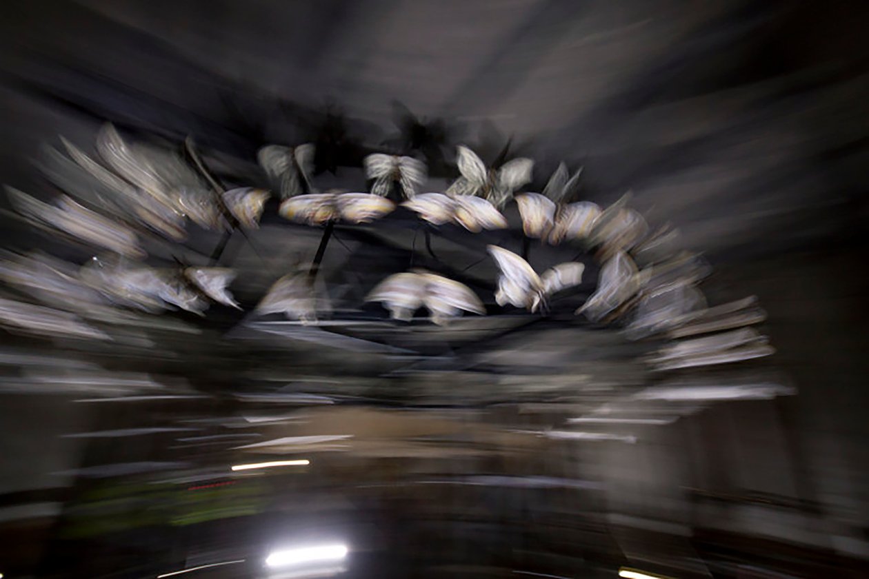 Magic Lantern, 2010 by Mat Collishaw