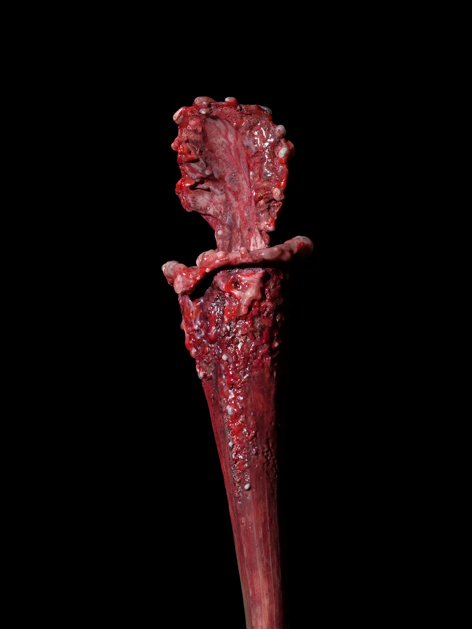 The Venal Muse, Fenside, 2012 by Mat Collishaw