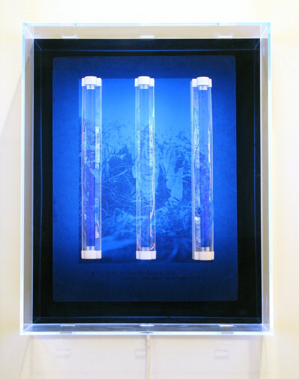 UV Garden, Fairy, Sunbath, Elves, Etc. by Mat Collishaw