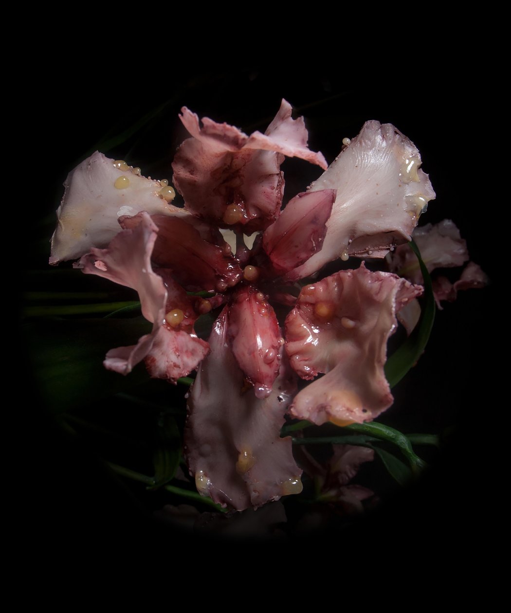 Venal Muse, Viridor by Mat Collishaw