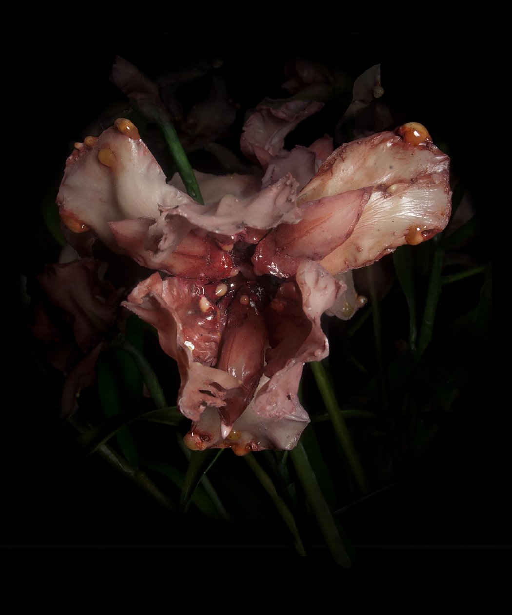 Venal Muse, Viridor by Mat Collishaw