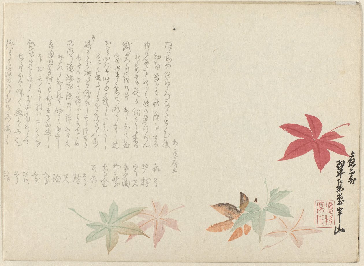 Japanese Maple by Matsukawa Hanzan