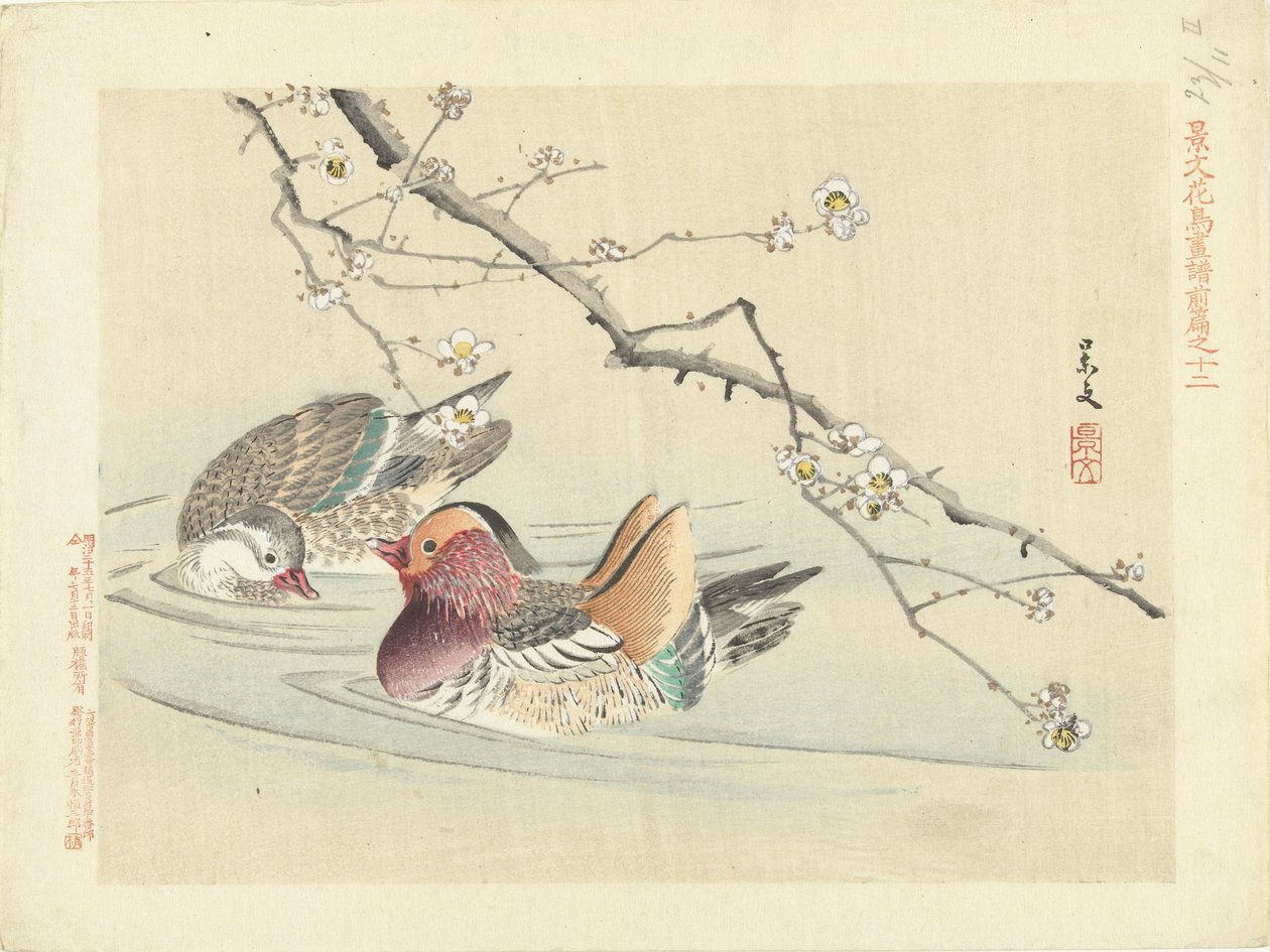 Two Ducks (Flower and Bird Sketches by Keibun - Part One) by Matsumura Keibun