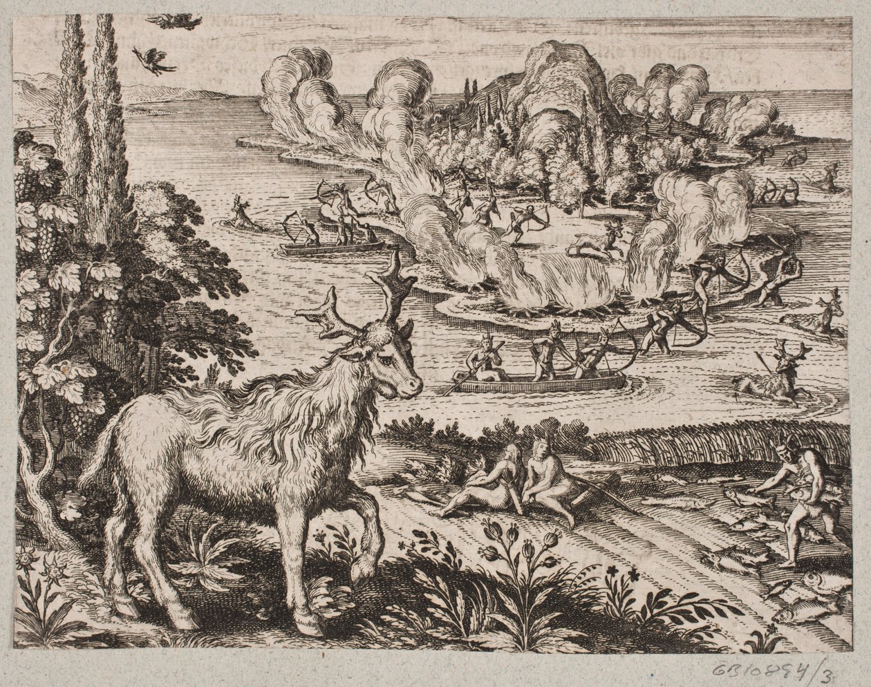 Here I Cannot Help but Consider the Very Wonderful Being, Which the Natives Call Mosse by Matthäus Merian d.Æ.