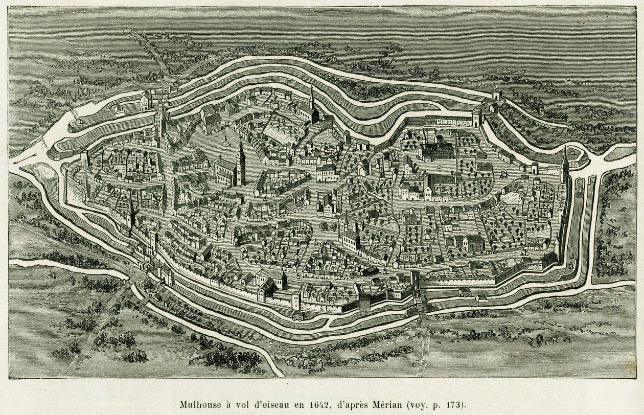 Mulhouse Flies in 1642. Engraving by Matthaus Merian (1593-1650) to illustrate the story 