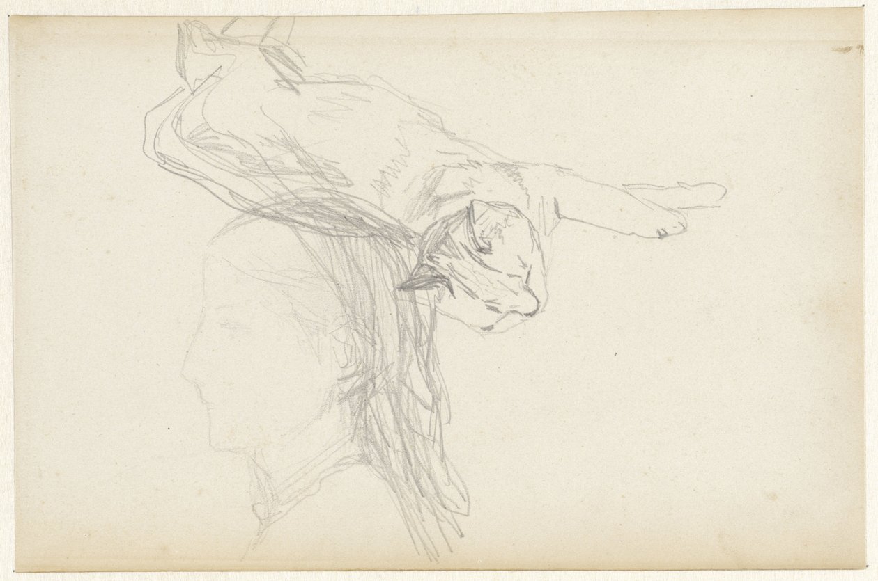 Study of a Lying Cat and a Girl