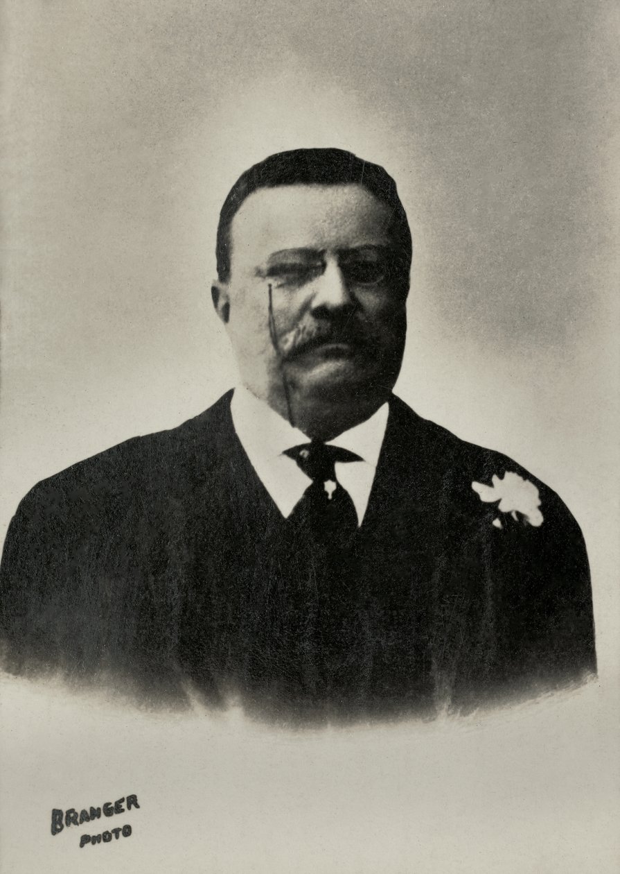 Portrait of Theodore Roosevelt, President of the United States by Maurice-Louis Branger