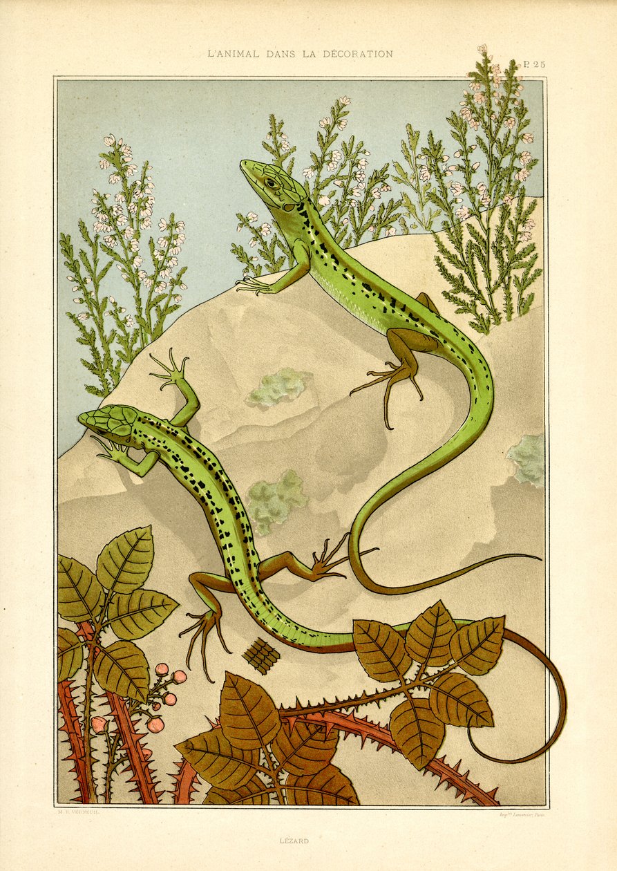 Naturalistic Lizard Motif in Art Nouveau by Maurice Pillard Verneuil