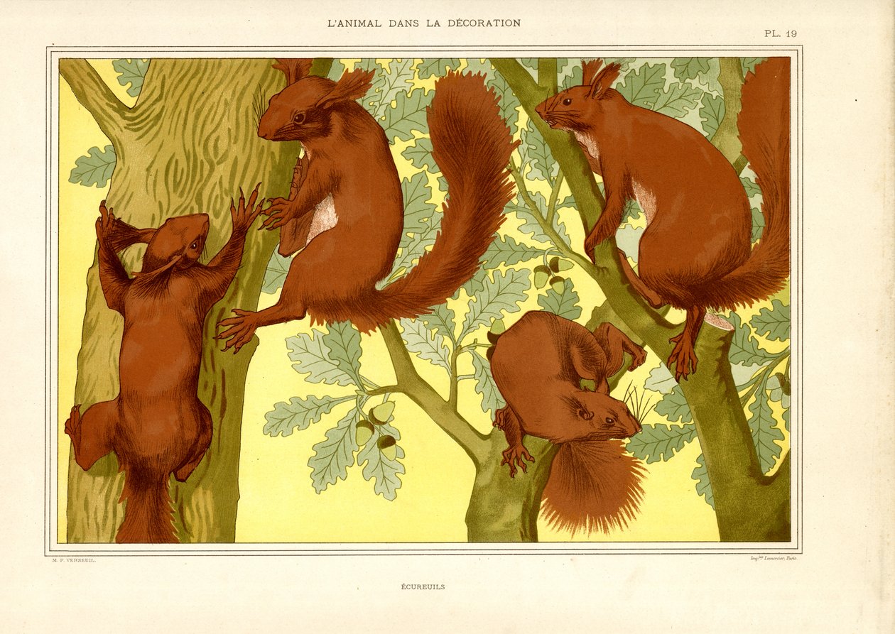 Squirrels in an Oak Tree by Maurice Pillard Verneuil