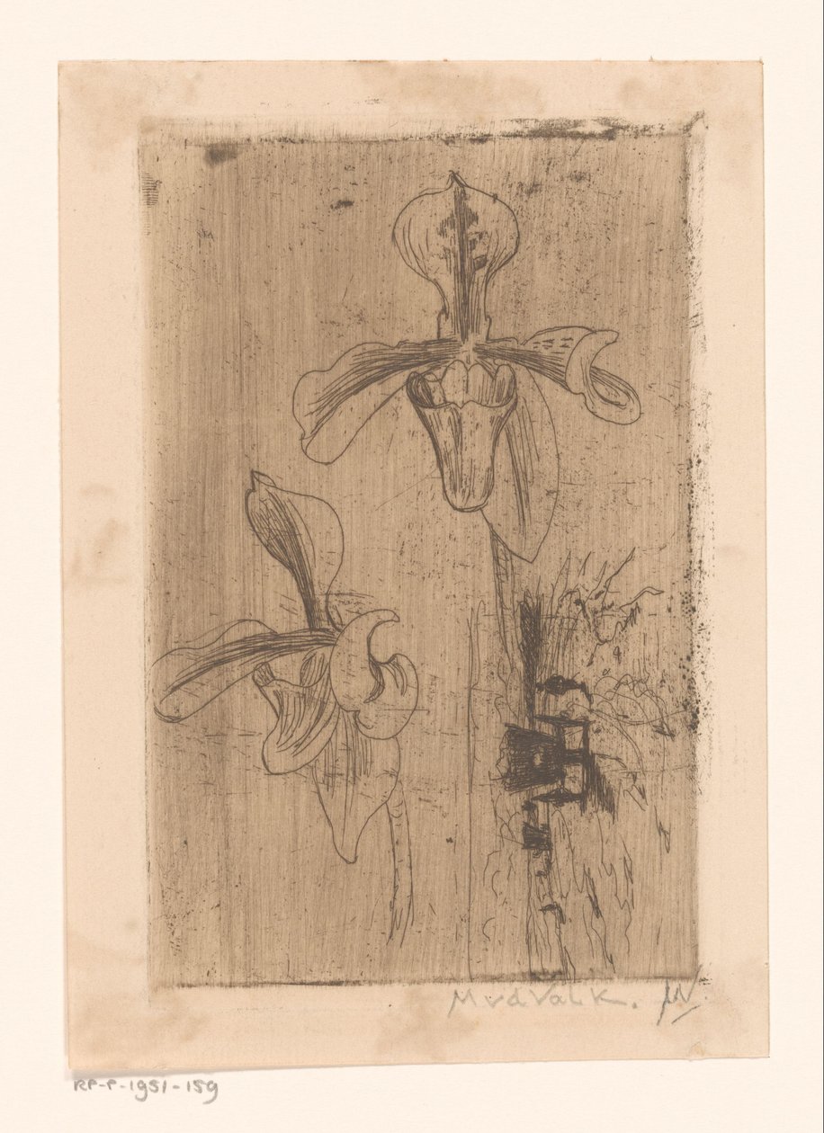 Two Orchids and a Cart on the Beach by Maurits van der Valk (signed by artist)