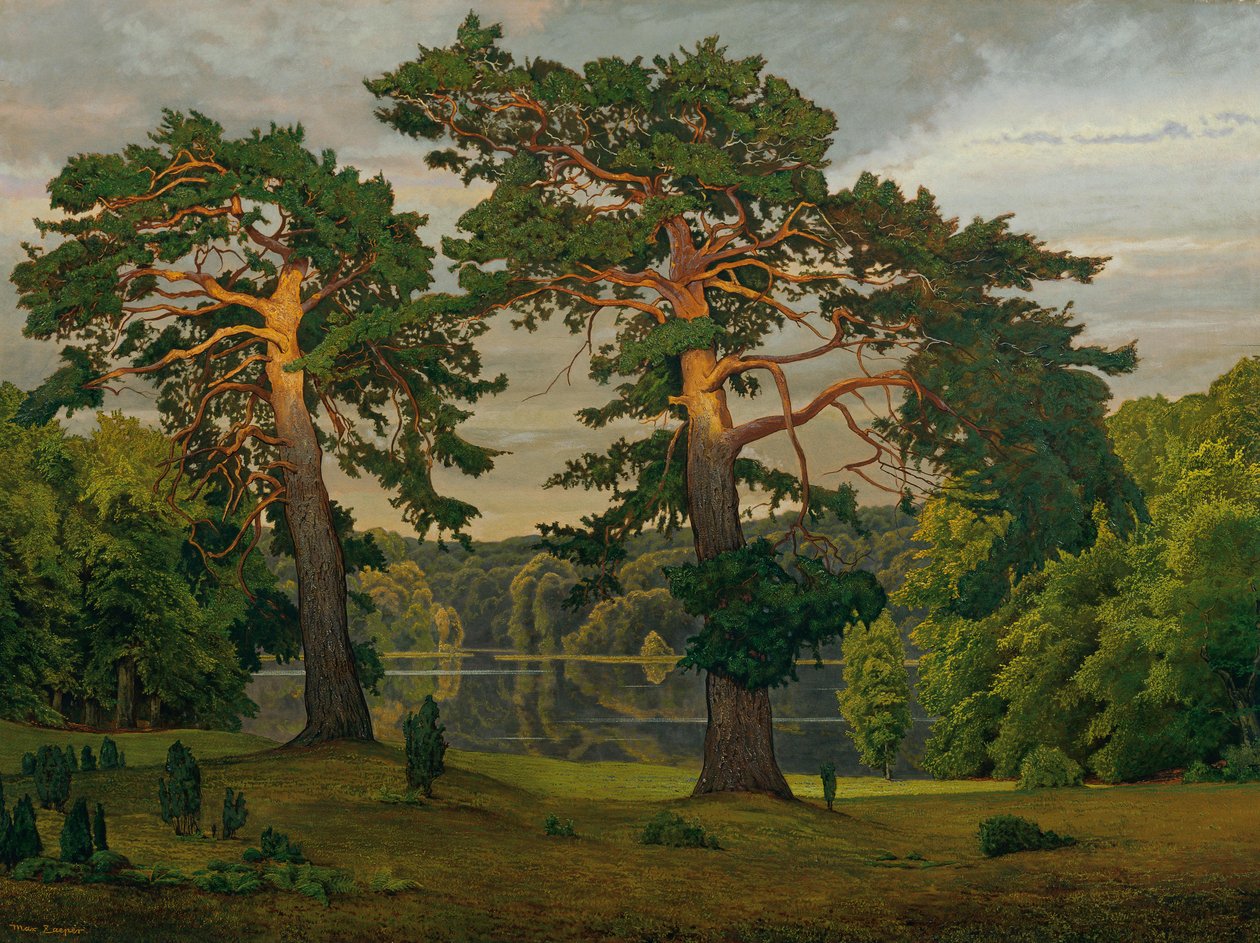Pines at the Forest Edge by Max Zaeper