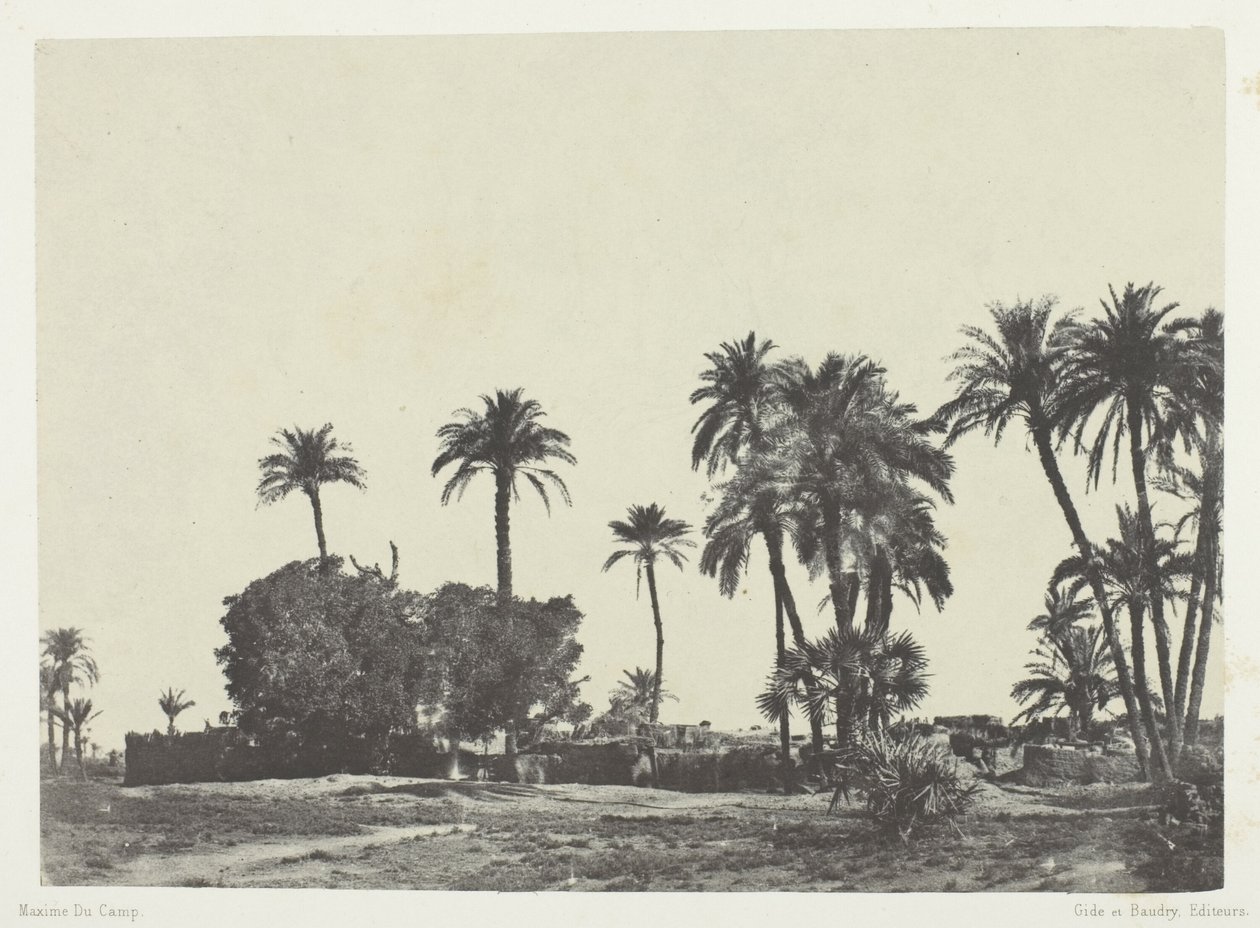 Village of Hamameh, Upper Egypt by Maxime Du Camp