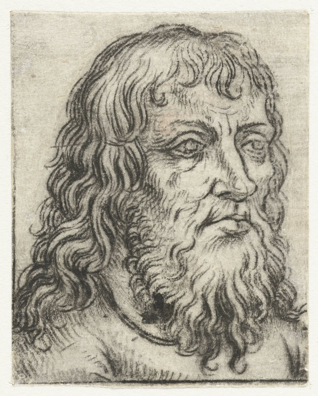 Head of an Old Man (Study Heads series) by Meester van het Amsterdamse Kabinet