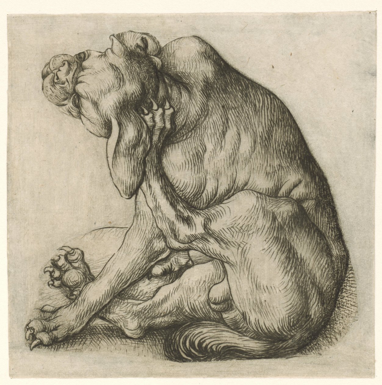 Scratching Dog by Meester van het Amsterdamse Kabinet