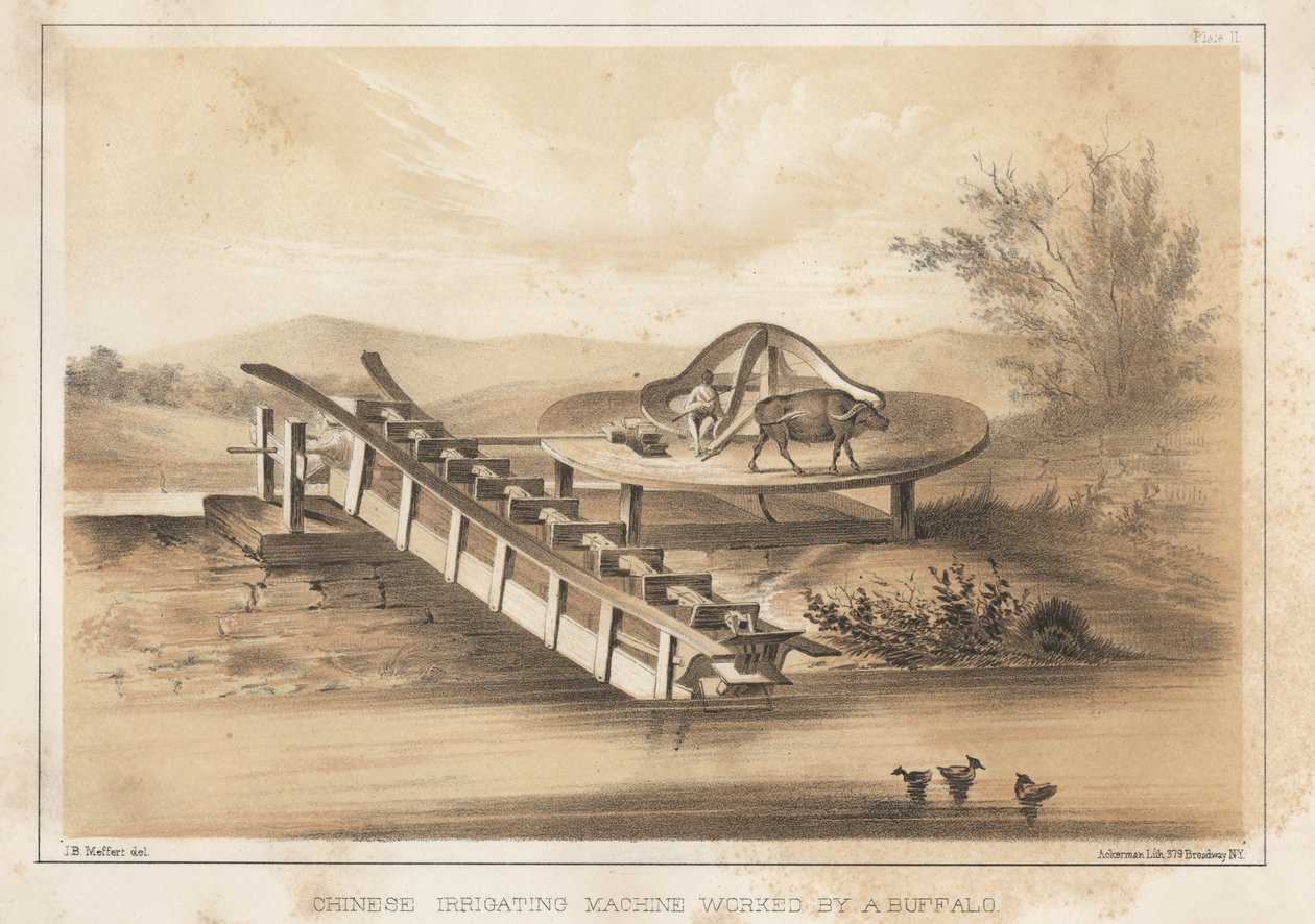 Chinese Irrigation Machine Worked by a Buffalo by Meffert