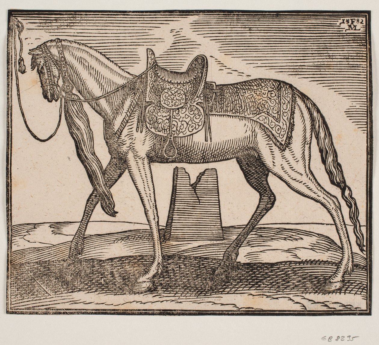 Elegant Saddled Horse, Tethered at the Left Framing Line, Profile to the Left; Under the Horse