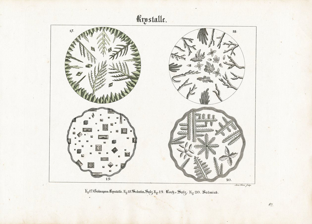 Crystal Forms of Various Salts by Meno Haas