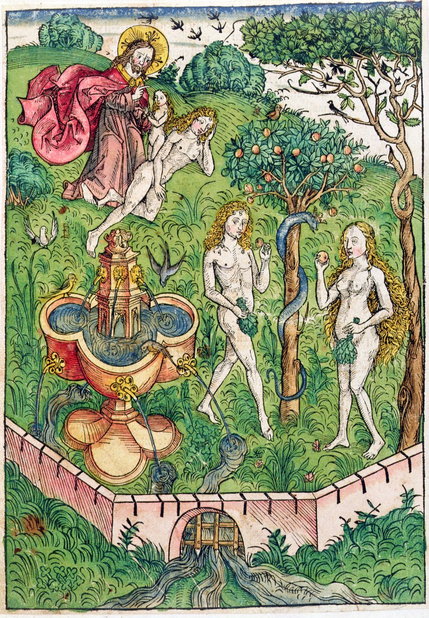 The Creation and the Temptation of Adam and Eve, from 